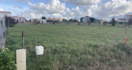 Thorigny Maison neuve - 2118923-10920annonce120250327DpkvP.jpeg LMP Constructeur