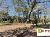 Terrain à bâtir à Bretignolles-sur-Mer (85470) 2139645-11004annonce120250424c2TSi.jpeg LMP Constructeur