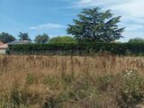 Terrain à bâtir à La Rabatelière (85250) 2117535-10941annonce120241115J8SzX.jpeg LMP Constructeur