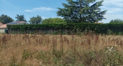 La Rabatelière Terrain à bâtir - 2117535-10941annonce120241115J8SzX.jpeg LMP Constructeur