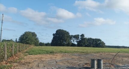 Montaigu Maison neuve - 2117777-10941annonce1202408066Q0O5.jpeg LMP Constructeur