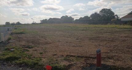Oulmes Maison neuve - 2148711-10941annonce120240805QFJKg.jpeg LMP Constructeur