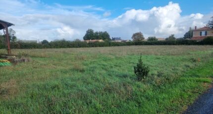 Petosse Maison neuve - 2155610-11105annonce120241230Llk0n.jpeg LMP Constructeur