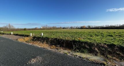 Saint-Michel-en-l'Herm Maison neuve - 2274574-10920annonce1202509175her1.jpeg LMP Constructeur