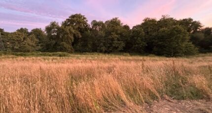 La Roche-sur-Yon Terrain à bâtir - 2234850-10920annonce120250727UU022.jpeg LMP Constructeur