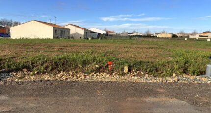 Luçon Terrain à bâtir - 2272661-10920annonce120250916VdlBO.jpeg LMP Constructeur