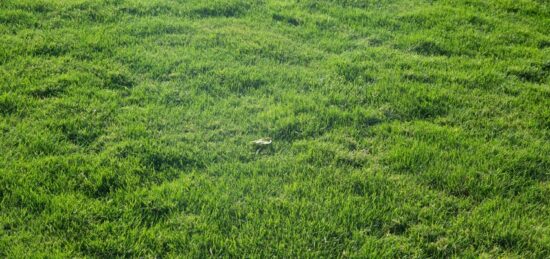 Terrain à bâtir à Coëx, Pays de la Loire