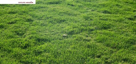Terrain à bâtir à Saint-Christophe-du-Ligneron, Pays de la Loire