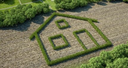 Sainte-Foy Terrain à bâtir - 2349492-10920annonce1202511264BMs9.jpeg LMP Constructeur