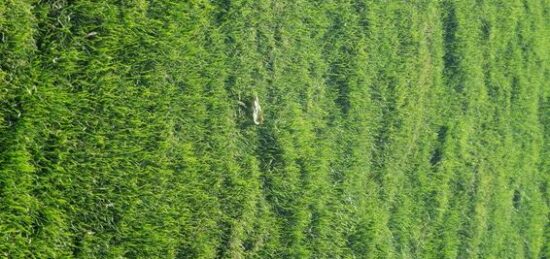 Terrain à bâtir à Saint-Hilaire-de-Riez, Pays de la Loire