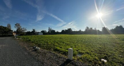 Chantonnay Maison neuve - 2312501-11105annonce120260101vUIVl.jpeg LMP Constructeur