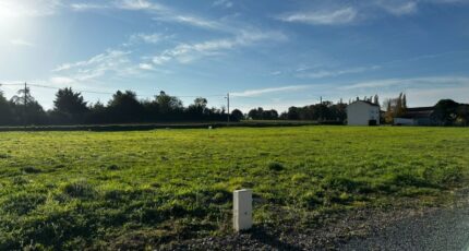 Chantonnay Maison neuve - 2312586-11105annonce1202601019moQQ.jpeg LMP Constructeur