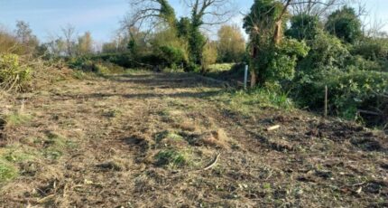 Notre-Dame-de-Monts Maison neuve - 2400626-11728annonce120260121w8lFE.jpeg LMP Constructeur