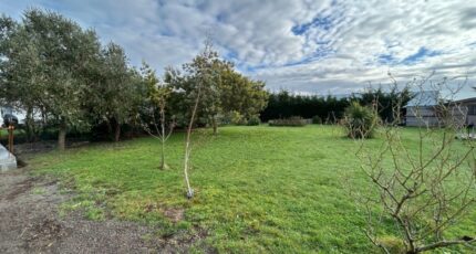 L'Île-d'Olonne Maison neuve - 2392859-10920annonce120260114MJxCm.jpeg LMP Constructeur