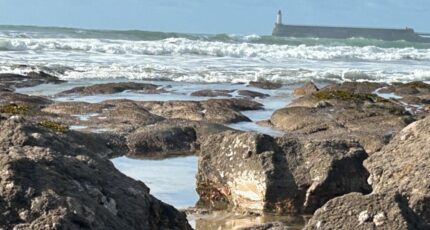 Château-d'Olonne Terrain à bâtir - 2400506-10920annonce4202601210keow.jpeg LMP Constructeur