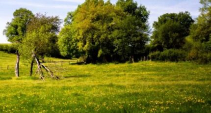 Notre-Dame-de-Monts Terrain à bâtir - 2407883-11728annonce1202601279G2Pk.jpeg LMP Constructeur