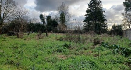 Froidfond Terrain à bâtir - 2411344-11728annonce320260129QvehE.jpeg LMP Constructeur