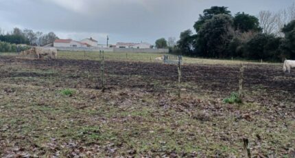 Saint-Urbain Maison neuve - 2407749-11728annonce120260205NA1at.jpeg LMP Constructeur