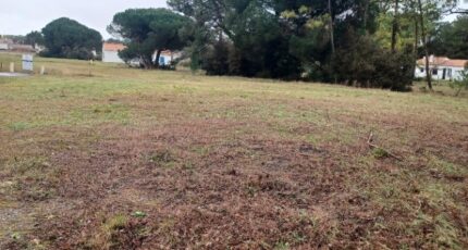 Notre-Dame-de-Monts Maison neuve - 2408529-11728annonce320260205lfwiR.jpeg LMP Constructeur