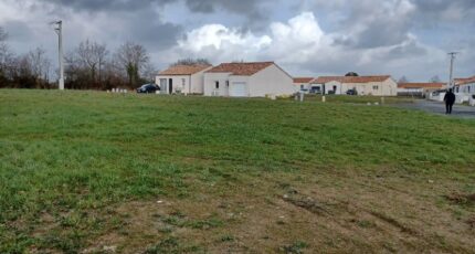 Palluau Maison neuve - 2410560-11728annonce220260128yDW4L.jpeg LMP Constructeur