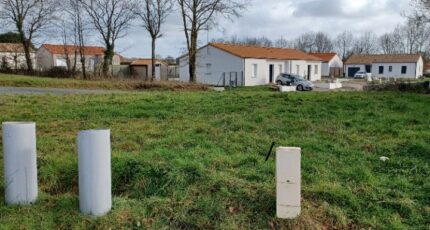 Palluau Maison neuve - 2410560-11728annonce320260128IXPiw.jpeg LMP Constructeur