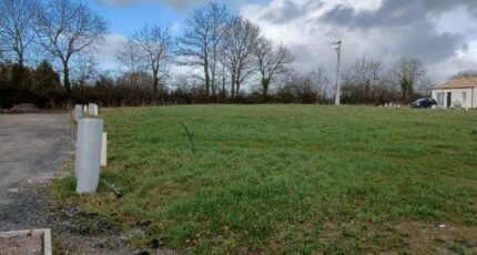 Palluau Maison neuve - 2410578-11728annonce120260128JiS0w.jpeg LMP Constructeur