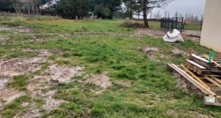 Beauvoir-sur-Mer Maison neuve - 2420558-11728annonce120260206cM539.jpeg LMP Constructeur