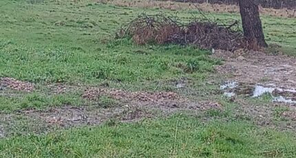 Beauvoir-sur-Mer Maison neuve - 2420570-11728annonce420260206WtqnH.jpeg LMP Constructeur