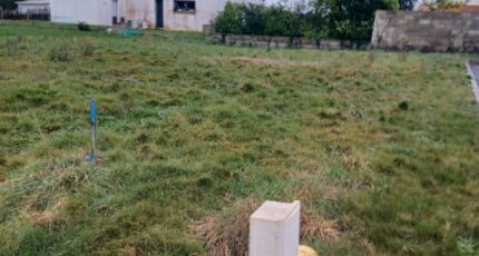 Beauvoir-sur-Mer Terrain à bâtir - 2430804-11728annonce320260216d2EMr.jpeg LMP Constructeur