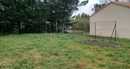 Maché Maison neuve - 2431771-11728annonce320260217ZqJ1q.jpeg LMP Constructeur