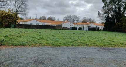 Challans Terrain à bâtir - 2433897-11728annonce420260219FnkNT.jpeg LMP Constructeur