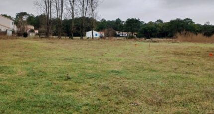 Notre-Dame-de-Monts Maison neuve - 2435099-11728annonce3202602194qdHU.jpeg LMP Constructeur