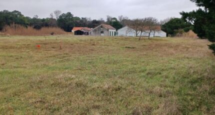 Notre-Dame-de-Monts Maison neuve - 2435103-11728annonce120260219TJOxU.jpeg LMP Constructeur