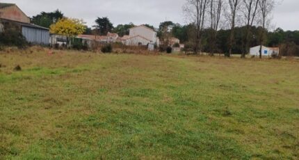 Notre-Dame-de-Monts Maison neuve - 2435103-11728annonce420260219pBtNG.jpeg LMP Constructeur