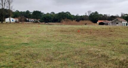 Notre-Dame-de-Monts Maison neuve - 2435108-11728annonce220260219gxlQX.jpeg LMP Constructeur