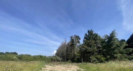 L'Île-d'Olonne Maison neuve - 2441904-11105annonce1202602260FROQ.jpeg LMP Constructeur