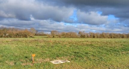 Commequiers Maison neuve - 2447103-11728annonce320260304vVJDi.jpeg LMP Constructeur