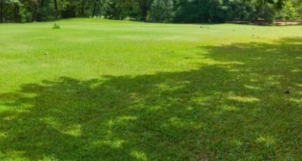 Saint-Gilles-Croix-de-Vie Terrain à bâtir - 2444790-7159annonce120260302hDXe9.jpeg LMP Constructeur