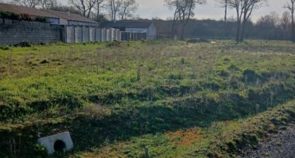 Challans Maison neuve - 2445681-11728annonce120260302e035q.jpeg LMP Constructeur