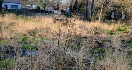 Soullans Maison neuve - 2445730-11728annonce120260303bzw0w.jpeg LMP Constructeur