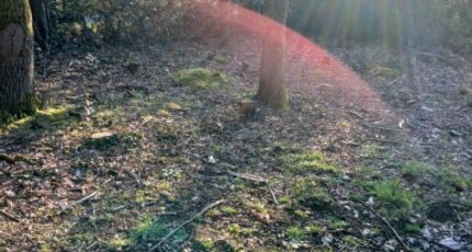 Soullans Maison neuve - 2445737-11728annonce4202603034R5Qu.jpeg LMP Constructeur