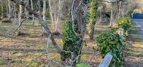 Terrain à bâtir à Soullans, Pays de la Loire