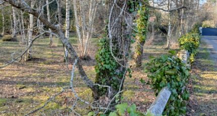 Soullans Maison neuve - 2446832-11728annonce120260304arBtf.jpeg LMP Constructeur