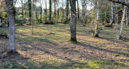 Soullans Maison neuve - 2446866-11728annonce220260304mWN7q.jpeg LMP Constructeur