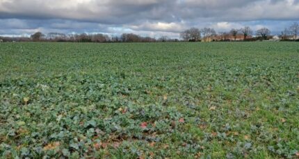 La Garnache Terrain à bâtir - 2450728-11728annonce2202603091aHGT.jpeg LMP Constructeur