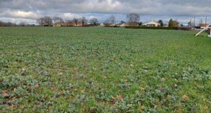 La Garnache Maison neuve - 2450730-11728annonce120260309seTSk.jpeg LMP Constructeur