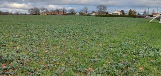 Maison neuve à , Vendée