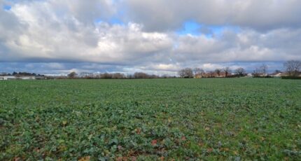 La Garnache Maison neuve - 2450762-11728annonce520260309y0nJQ.jpeg LMP Constructeur