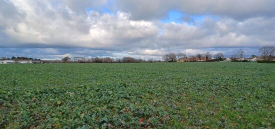 Terrain à bâtir à La Garnache, Pays de la Loire