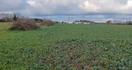 La Garnache Terrain à bâtir - 2453677-11728annonce220260311RSHWX.jpeg LMP Constructeur